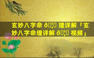 玄妙八字命 🦅 理详解「玄妙八字命理详解 🦊 视频」